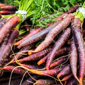 Carrots, Purple